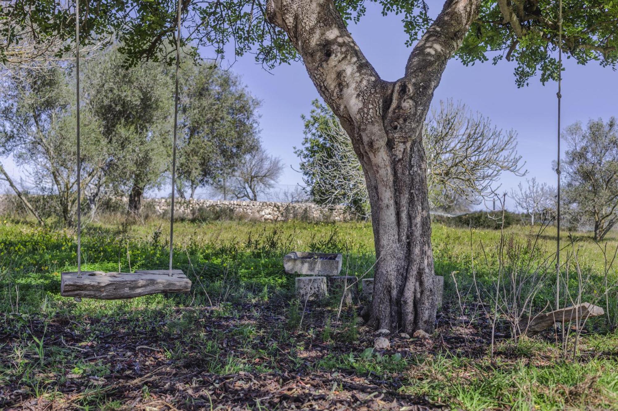 Finca Sa Torreta Santa Margalida Exterior photo